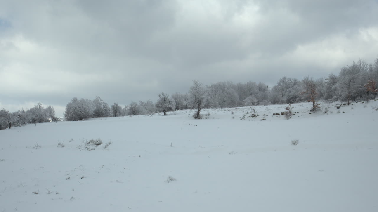 Immersive cinematic drone shot simulating the POV of a snowboarder carving across majestic snow-covered mountain slopes, capturing alpine adventure, cold beauty, extreme sports, and winter exploration
