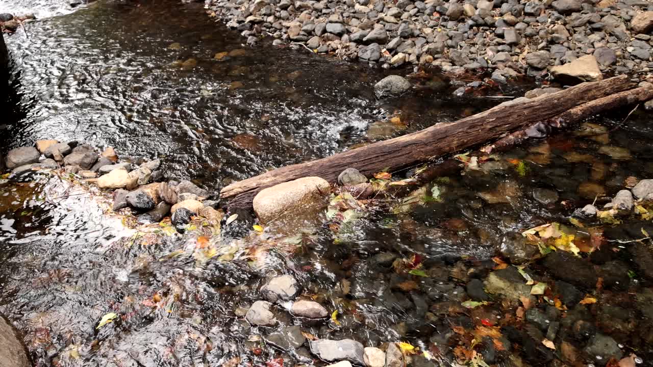 물은 자연에서 바위와 나무를 가로질러 흐른다.