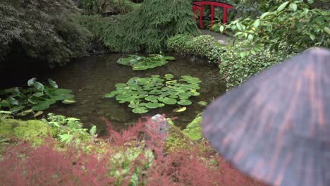 captura de seguimiento de nenúfares sobre un estanque en miniatura en un jardín público japonés durante el otoño