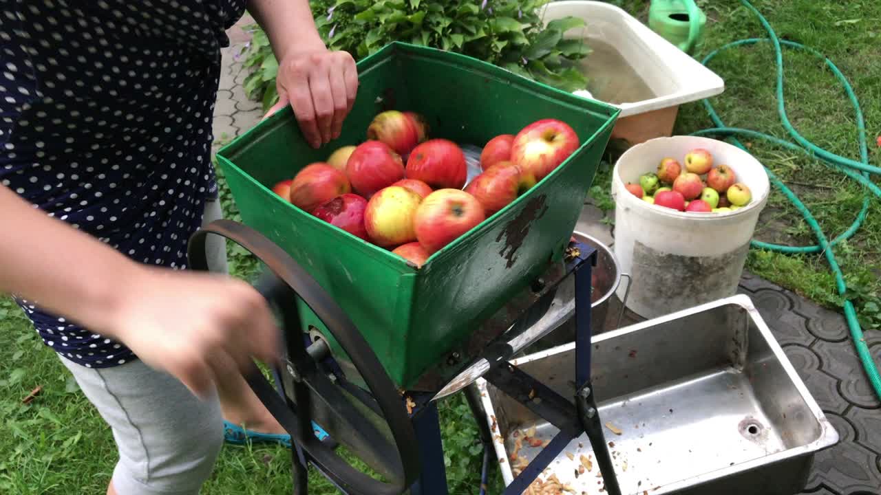 사과를 주스 생산을 위해 가공합니다.