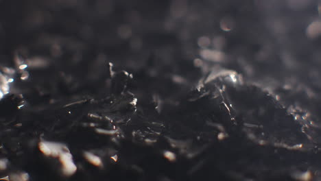 metallic raspings erratic movement