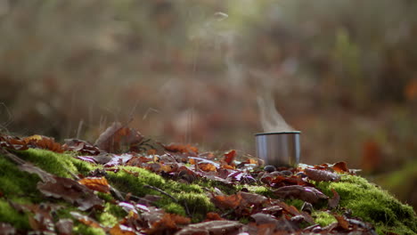 Pouring-hot-steaming-tea-or-water-from-thermos-into-mug,-forest-background,-copy-space