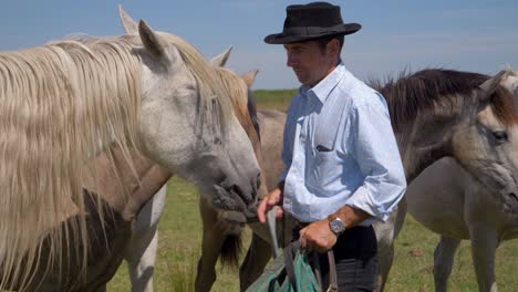 Vaquero-Alimentando-A-Sus-Caballos-En-El-Sur-De-Francia