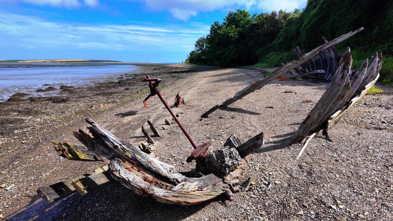 Irland, episke steder, Wexford, Saltmills, Bannow Bay, rester af strandet fiskebåd næsten rådnet væk af tid og tidevand, sommerscene.