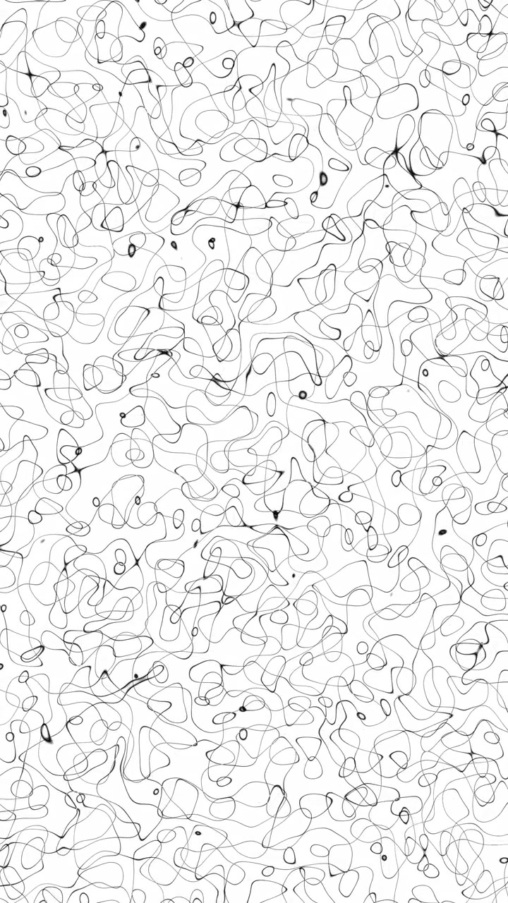 Video verticale di linee astratte nere a scarabocchio che si muovono su sfondo bianco