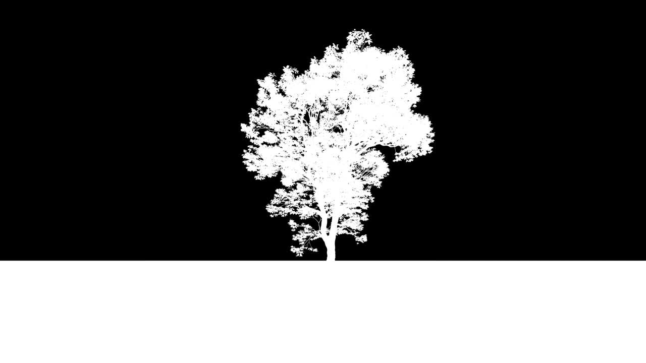 Sweet chestnut against a blue sky, loop, Luma Matte, 4K