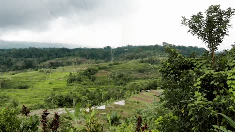 Bali---Drone-De-Campo-De-Arroz