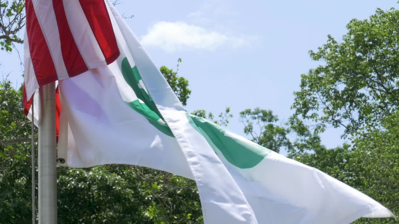 Bandiera 4H al rallentatore
