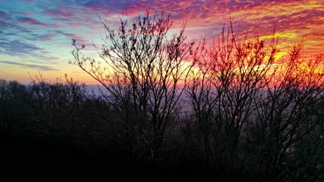 slow motion aerial cinematic drone footage of a bright blazing orange sunset behind a silhouette of leafless trees