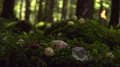 magical forest with a yellow glowing fairy flying above bright green moss and some little herbs, with wooden balls and crystals, with the forest in the background, on a windy and sunny day
