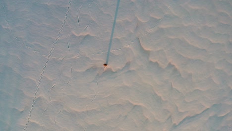 Vista-Aérea-De-Una-Persona-Patinando-Sobre-Hielo-En-Un-Glaciar-Polar-Nevado-Durante-La-Hora-Dorada-Del-Atardecer