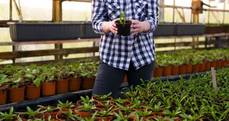 Joven-Mujer-Botánica-Examinando-Planta-En-Maceta