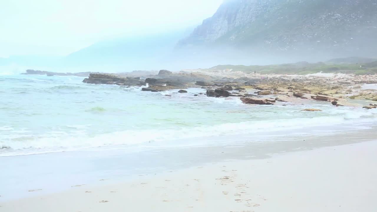 해변에서 바다를  ⁇ 고 있는 형제자매들