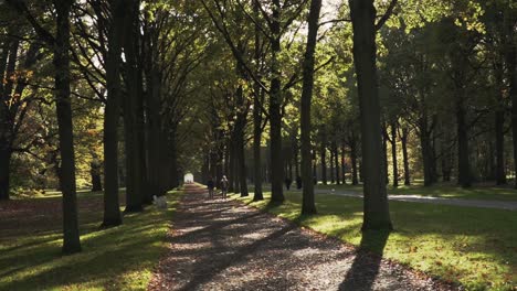 people walking in a park alley at a beautiful fall day with the leaves falling down