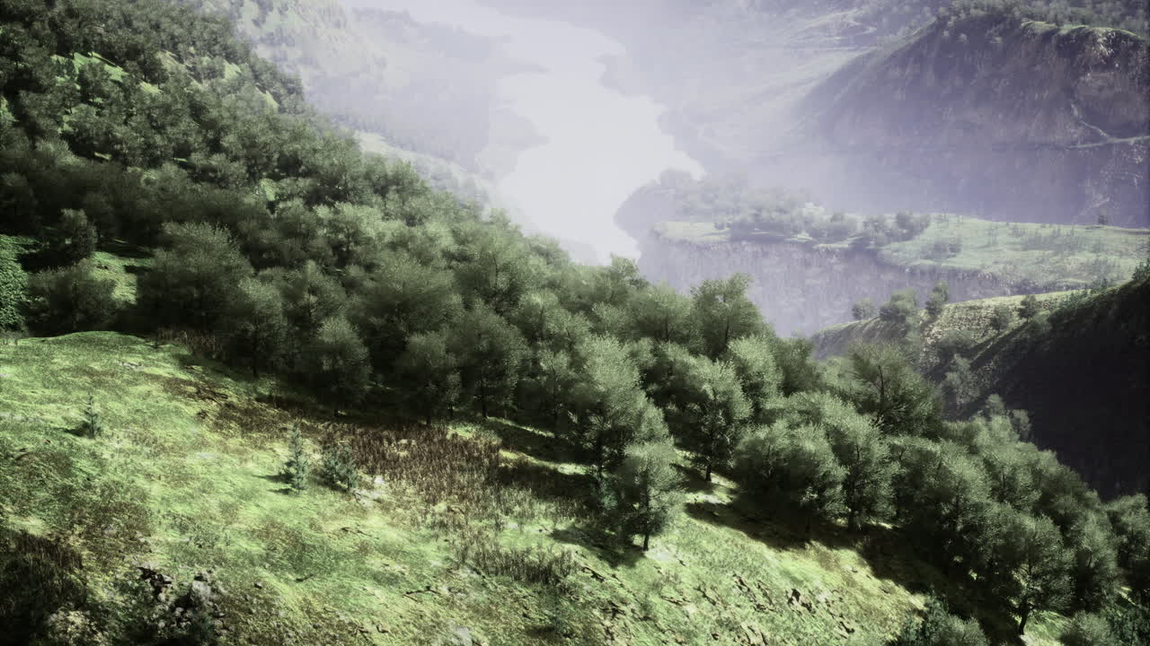 Lush green landscape with river flowing through mountainous terrain at dawn