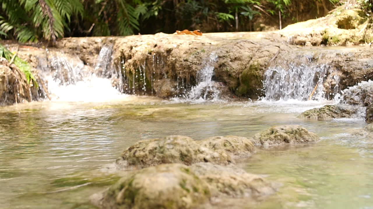 Tranquil Waterfall in a Lush Forest