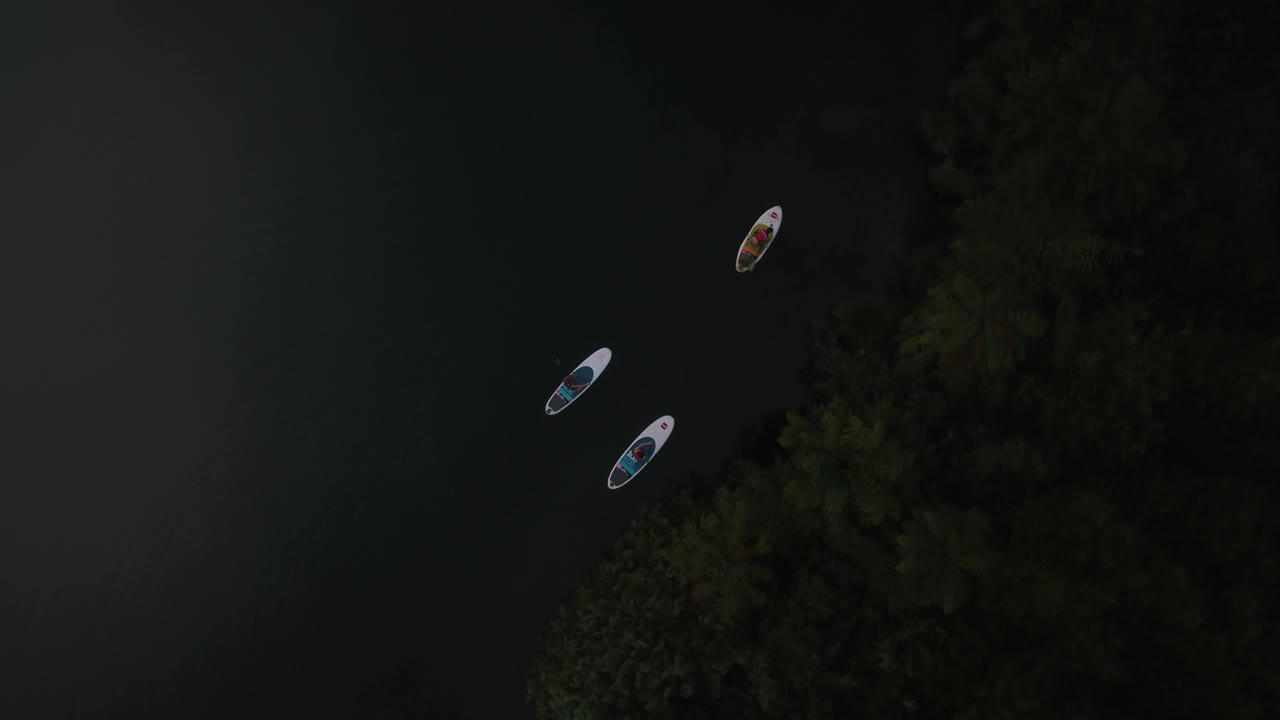 paddle surf a lo largo del borde del lago sereno