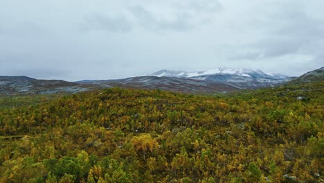 Aerial-over-the-forested-hills-near-Breheimen,-Norway