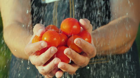 Die-Hände-Des-Mannes-Halten-Eine-Handvoll-Tomaten-Unter-Fließendem-Wasser-Reines-Bio-Produktkonzept