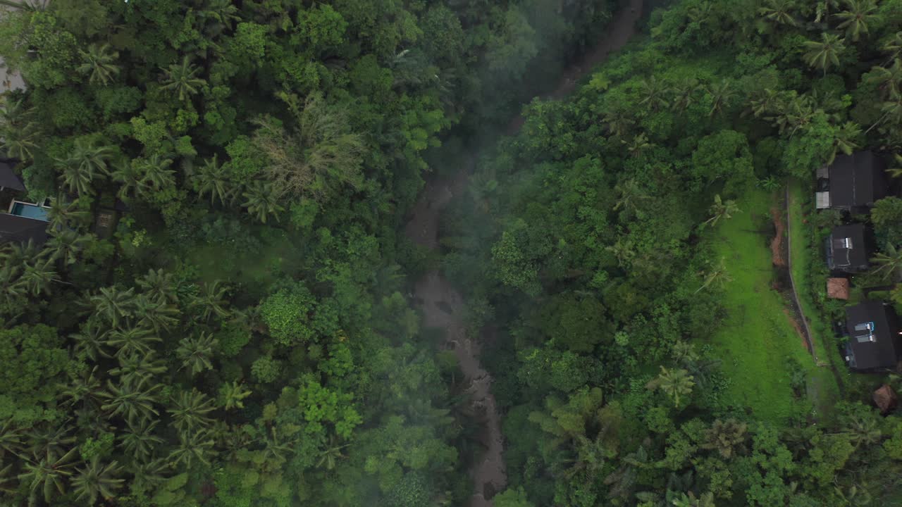 moody river valley con niebla ligera, exuberante selva tropical, antena