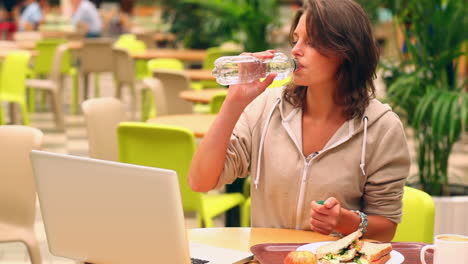 Brunette-student-studying-while-having-lunch-in-canteen