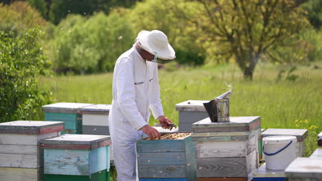 beekeeping worker in protective uniform. man beekeeper in uniform working on beehive field.
