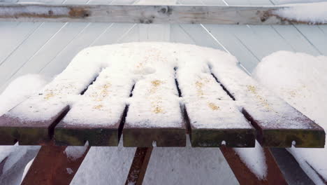 algunos pájaros del empavesado de nieve picoteando semillas de la mesa