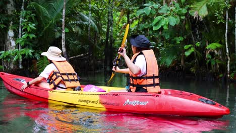 two people kayaking through lush tropical waters