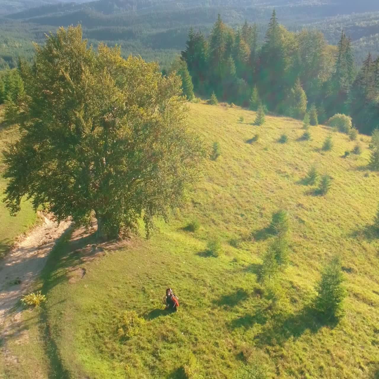 Green landscape in the mountains. Musician on hill at sunlight. Woman playing cello among beautiful nature. Camera moving down