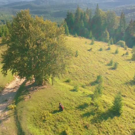 green landscape in the mountains. musician on hill at sunlight. woman playing cello among beautiful nature. camera moving down