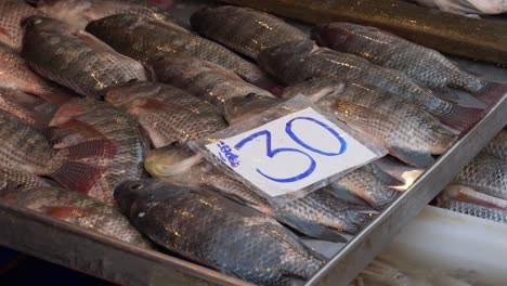 live raw fresh tilapia fish on counter for sale in asian fish market