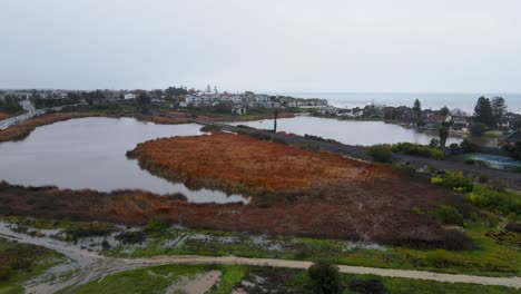 rainy day at buena vista lagoon