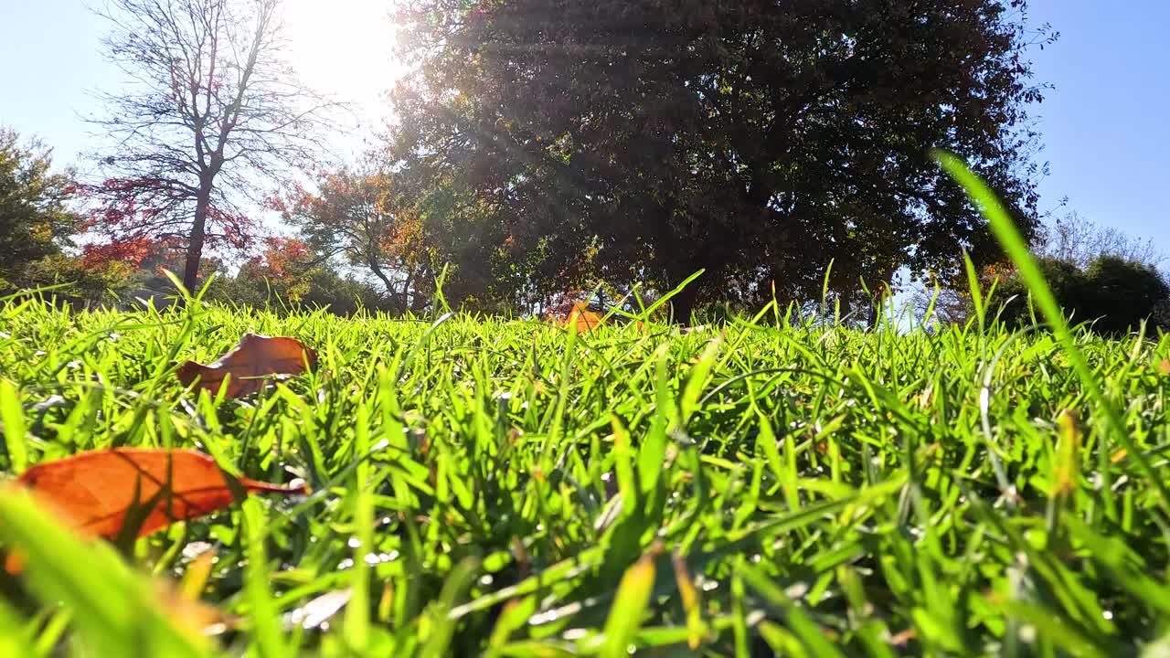 은 하늘 아래 밝은 풀과 나무