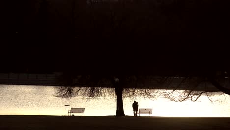 people spending time in urban park