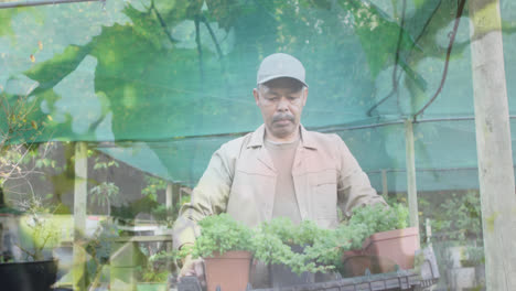 video of blue lights over biracial man working in the garden