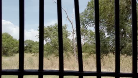 view through jail bars