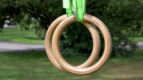 Crossfit-and-Gymnastic-rings-hanging-from-a-tree-in-a-park