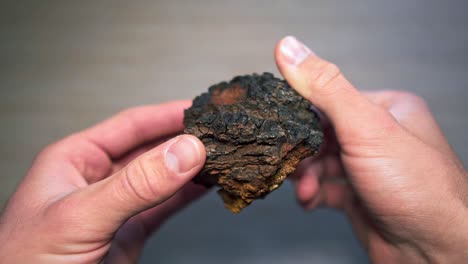 slow motion shot of male hands rotating a chunk of chaga mushroom