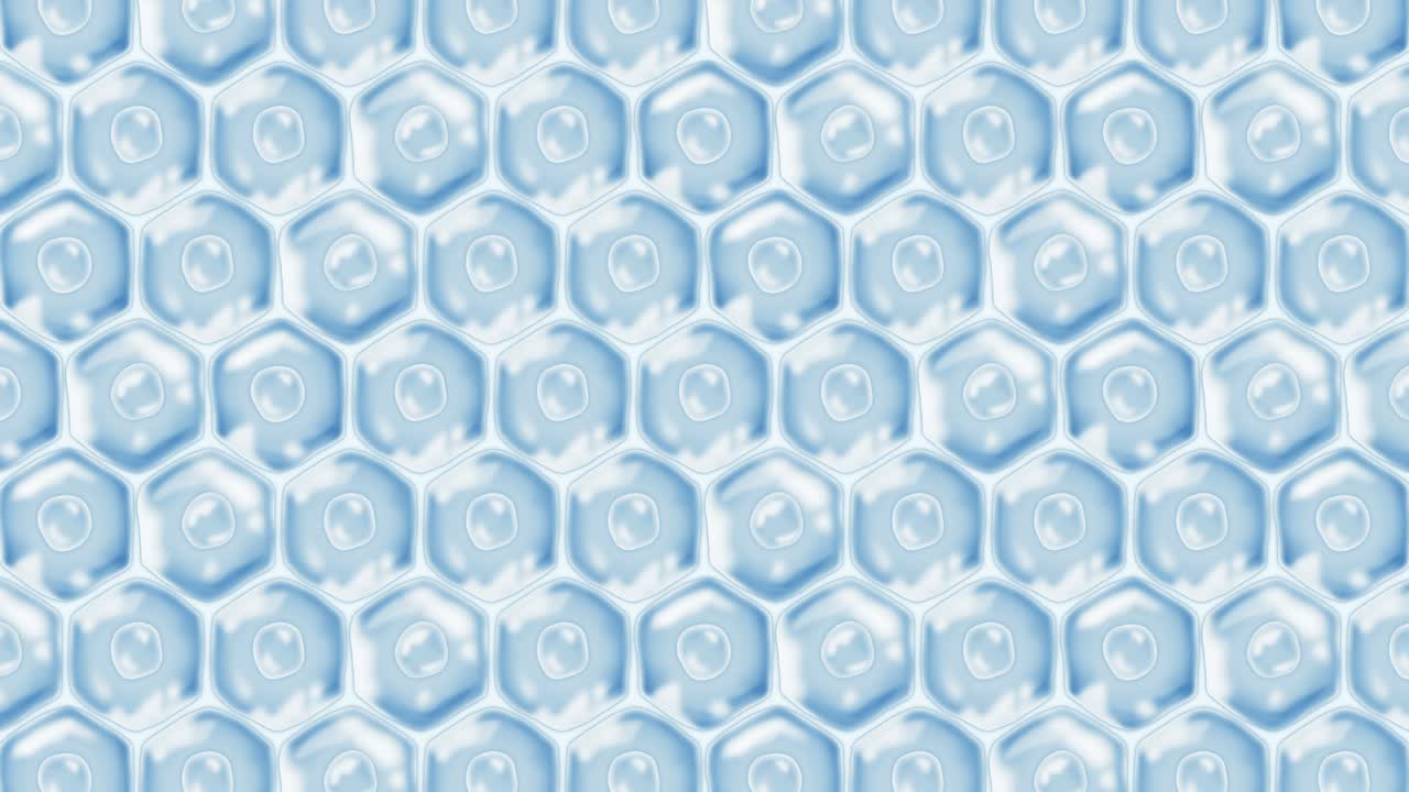 인간 피부 세포: 세포막을 가진 각 세포, 세포 치료, 질병 치료, 핵과 진공, 재생, 루프 애니메이션