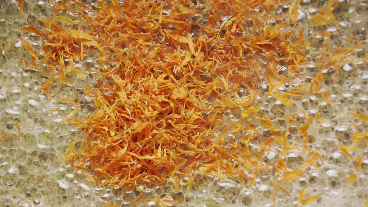 먹을 수 있는 꽃이 요리하는 클로즈업