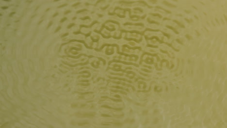 water forming cymatic patterns and reflecting light in slow motion