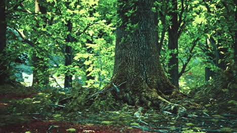 Trunk-and-stone-covered-with-a-green-moss