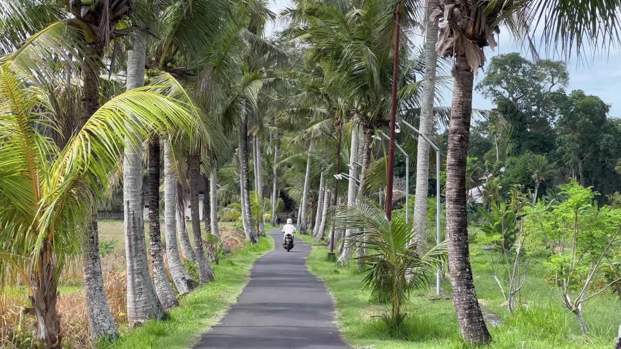 Exploring Ubud's Hidden Trails: Tourist Rides Scooter Amidst Coconut Palms in Bali