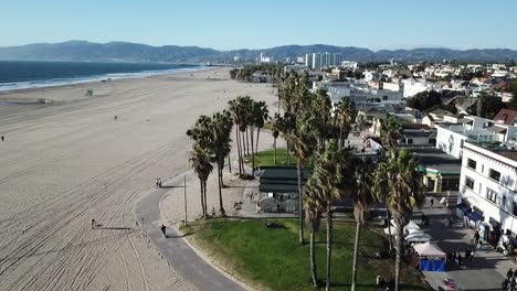 Palmeras---Playa-De-Venice---Tiro-De-Drone