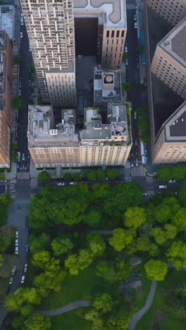 large beautiful green park near the busy street. drone footage over the great new york at daytime. vertical video