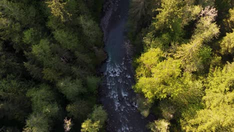 Toma-Panorámica-Volando-Sobre-Un-Río-Que-Fluye-Entre-Un-Bosque-Siempre-Verde-En-Carbonado,-Estado-De-Washington.