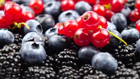 ripe raw berries of redcurrant, blackberry and blueberry, background