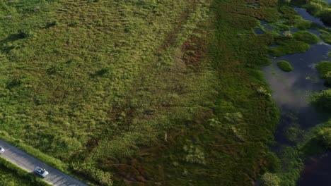 Dolly-out-aerial-drone-shot-of-a-small-road-with-cars-tilting-up-to-reveal-the-beautiful-tropical-coastline-of-the-famous-tourist-beach-of-Porto-de-Galinhas-or-Chicken-Port-in-Pernambuco,-Brazil