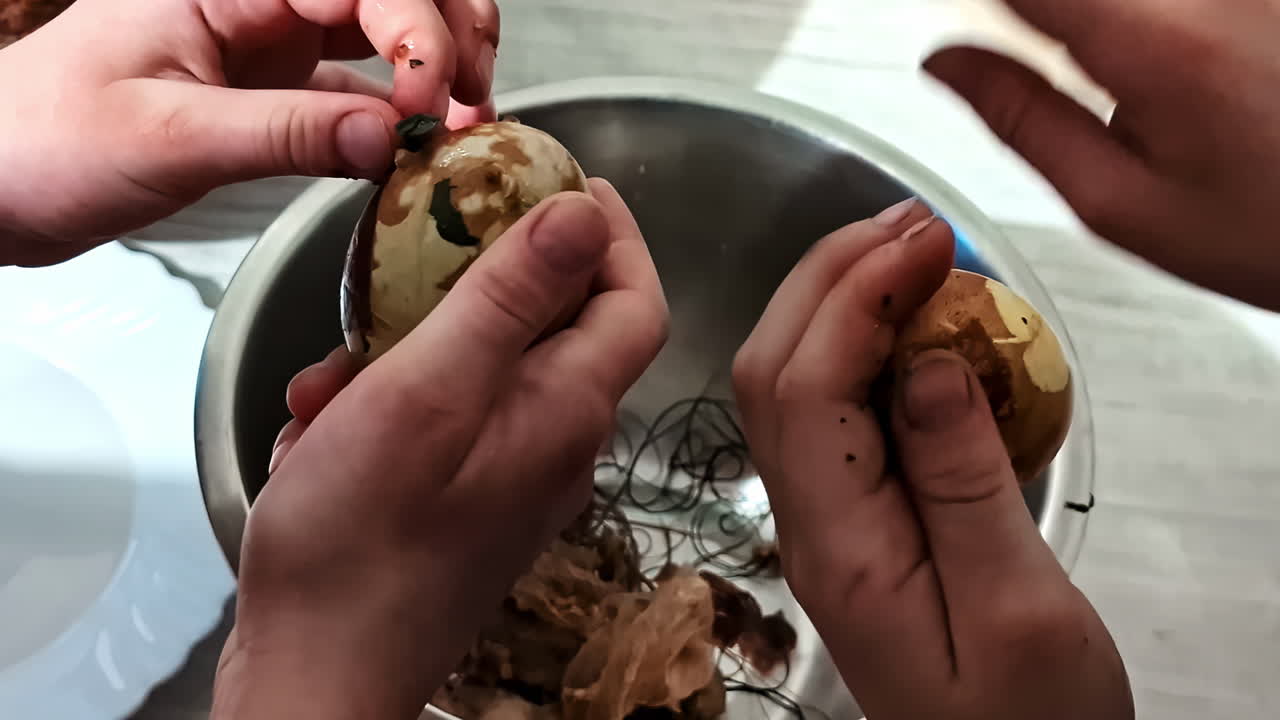 Avocado seed plant peel ready to be planted, brown skin covering shell removed by hand