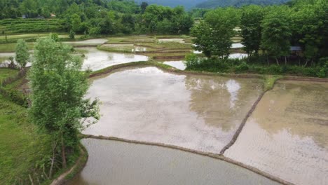 sky reflection on water pond the rice paddy field agriculture muddy farm terrace plantation farming local people asian natural landscape tropical climate weather green hills iran scenic travel guide
